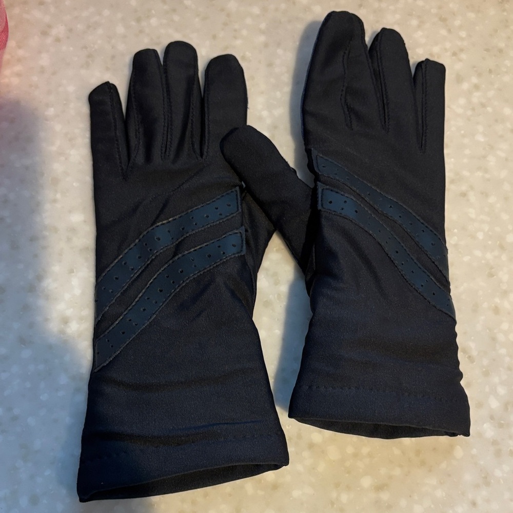 Hanes Dark Gloves with Navy Stripes do not purchase!